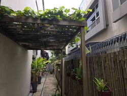 Everitt Road (D15), Detached #573998141
